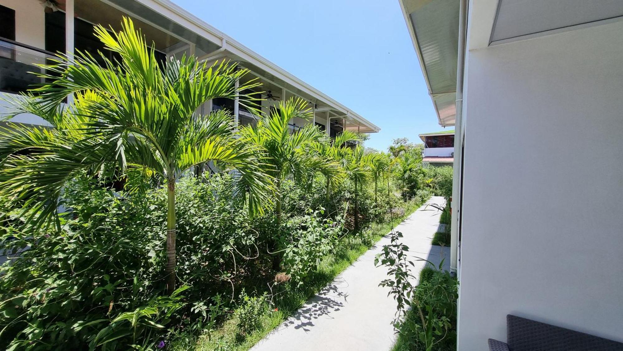 Ballena Rey Hotel Uvita Luaran gambar