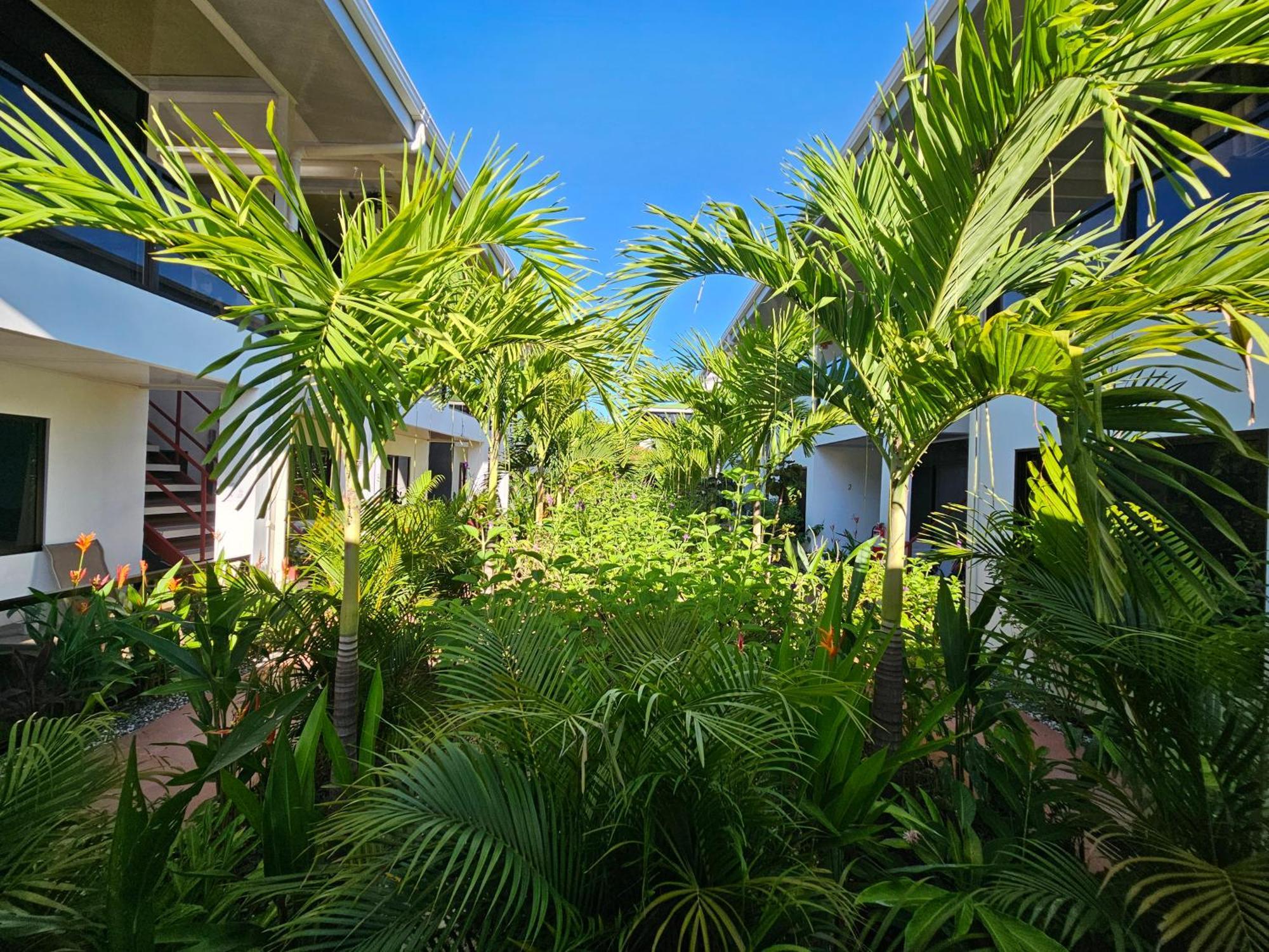 Ballena Rey Hotel Uvita Luaran gambar