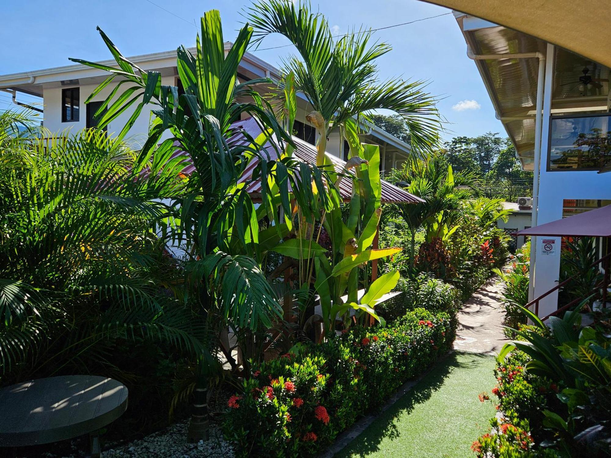 Ballena Rey Hotel Uvita Luaran gambar